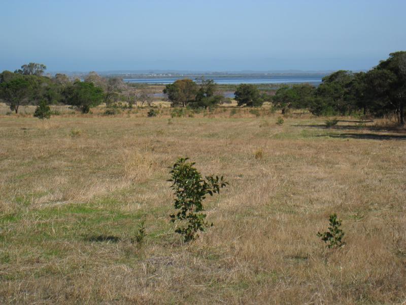 St Leonards - Edwards Point Wildlife Reserve, car park on Bluff Road near Ibbotson Street: View south through reserve towards Swan Bay
