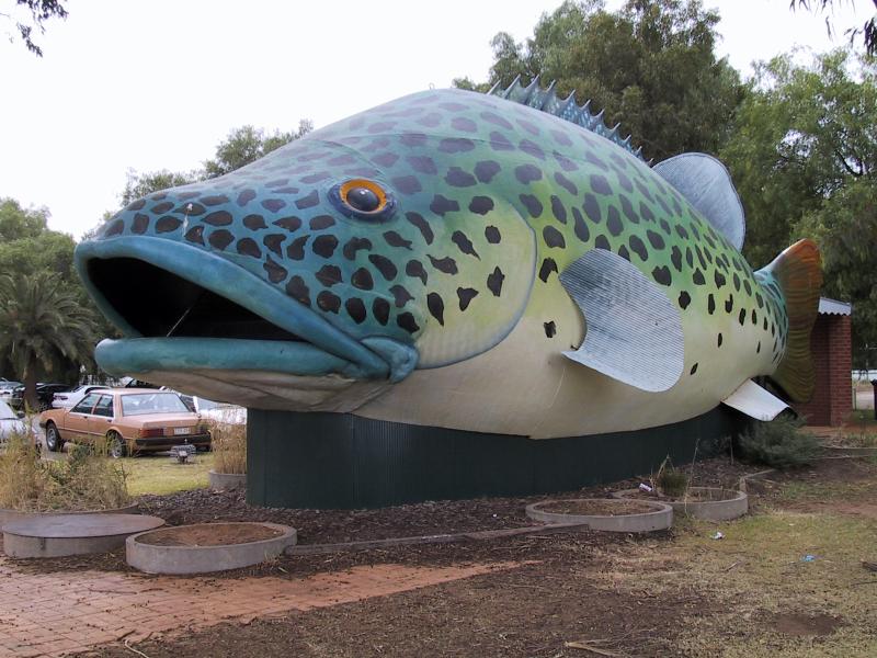 Swan Hill - Commercial centre and shops: Big Murray Cod, at railway station