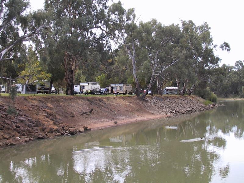 Swan Hill - Murray River and Riverside Park: View north along Murray River at Swan Hill Riverside Caravan Park