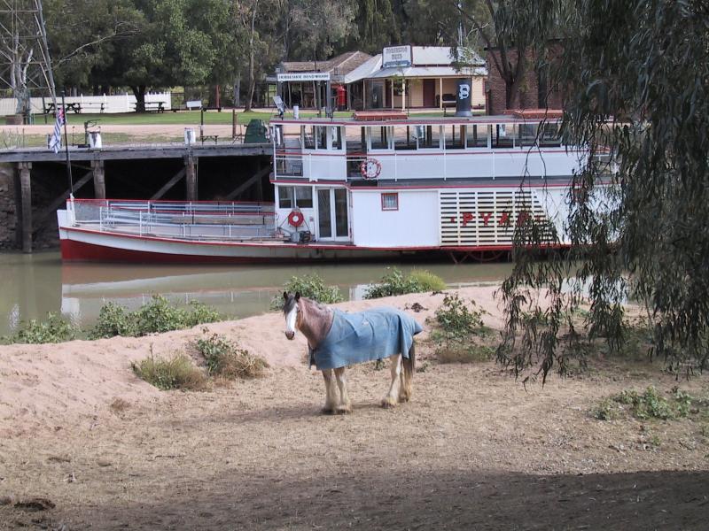 Swan Hill - Pioneer Settlement: View from Pental Island (where horses roam) back to wharf