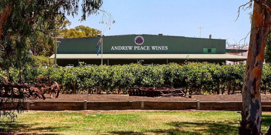 Andrew Peace Wines, Piangil