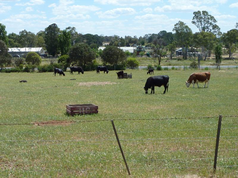 Talbot - Around Talbot: View west from Lansdowne St opposite O'Hara St