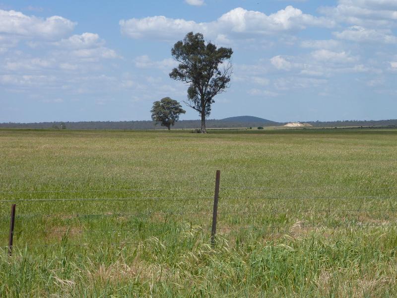 Talbot - Countryside east of railway line, Weilandt Crescent and Rocky Flat Road: Easterly view, Slaughteryard Rd at Rocky Flat Rd