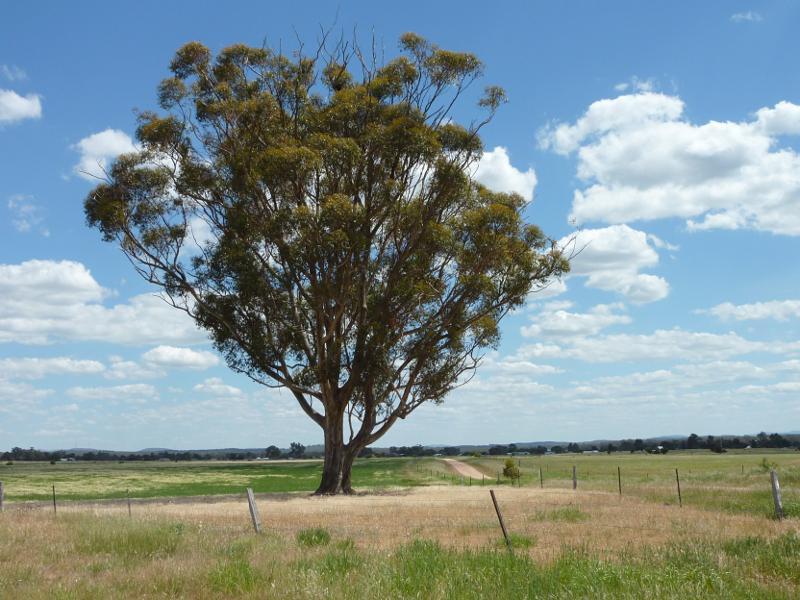 Talbot - Countryside east of railway line, Weilandt Crescent and Rocky Flat Road: View south-west along Rocky Flat Rd at Slaughteryard Rd