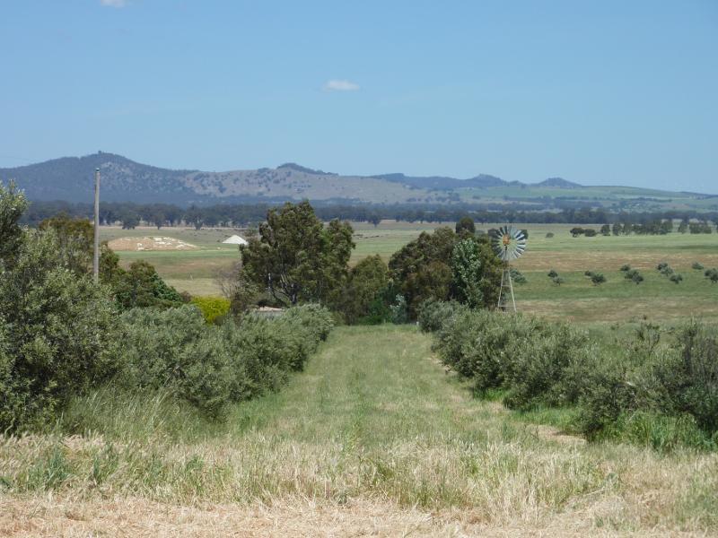 Talbot - Ballarat-Maryborough Road through Talbot and southwards: South-westerly view, Ballarat-Maryborough Rd at Mitchell Rd
