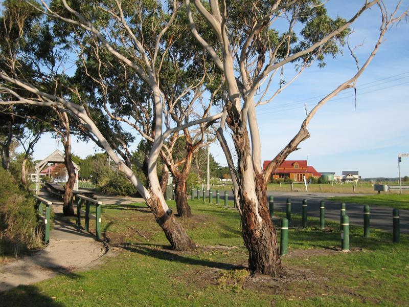 Tarwin Lower - Picnic area and Tarwin River at The Long Table, River Drive near Ripple Landing: View south-east through picnic area towards The Long Table