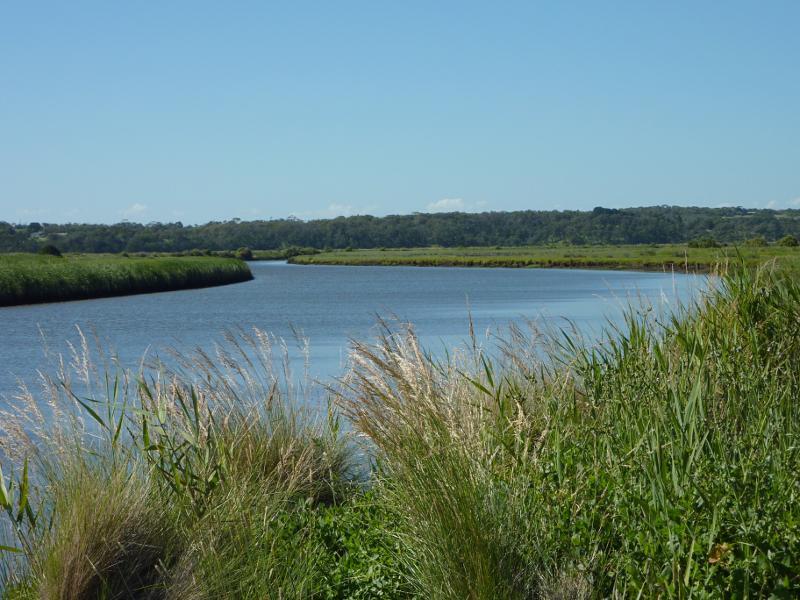 Tarwin Lower - Evergreen Road at picnic area fronting Tarwin River, west of town centre: View east along river