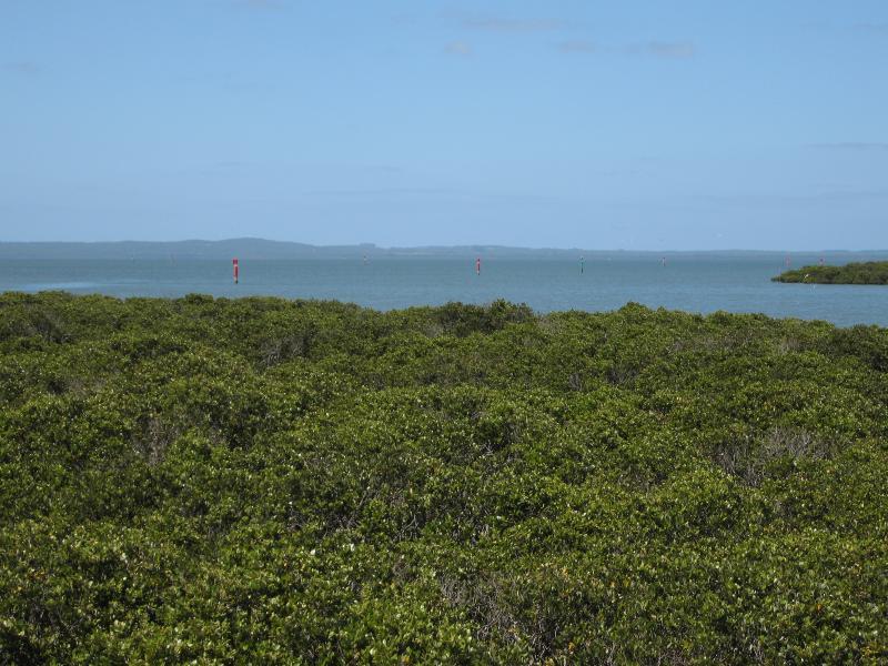 Tooradin - Boat ramp and surroundings, Sawtells Inlet south of Foreshore Road: View south from lookout
