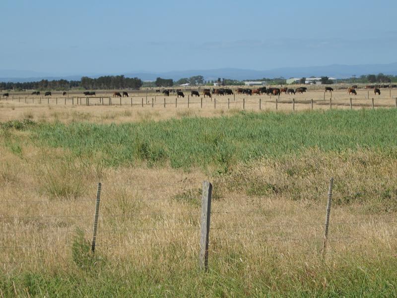Tooradin - South Gippsland Highway east of town centre: North-easterly view across grazing land near tractor pull area