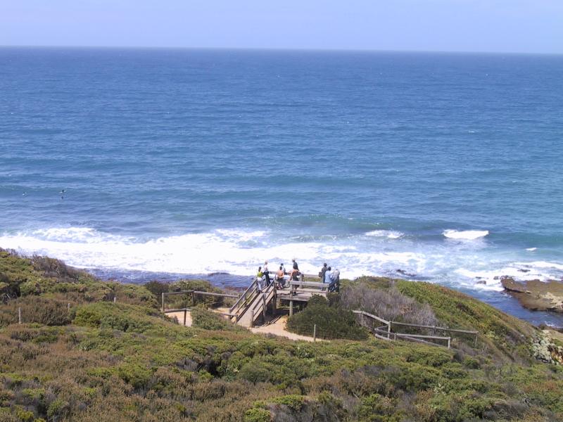 Torquay - Bells Beach: Coastal walkway and viewing deck