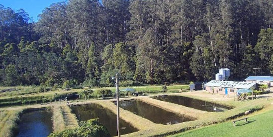 Alpine Trout Farm