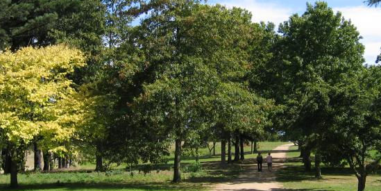 Arthurs Seat State Park