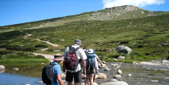 Australian Alps Walking Track