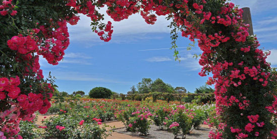 Australian Inland Botanic Gardens