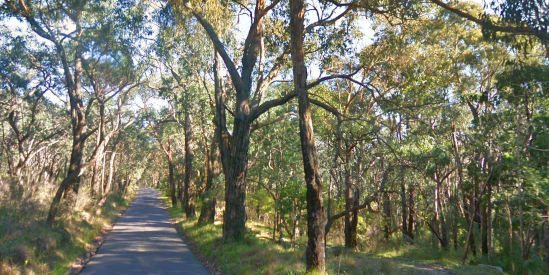 Baluk Willam Nature Conservation Reserve