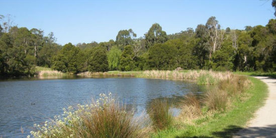 Birdsland Reserve