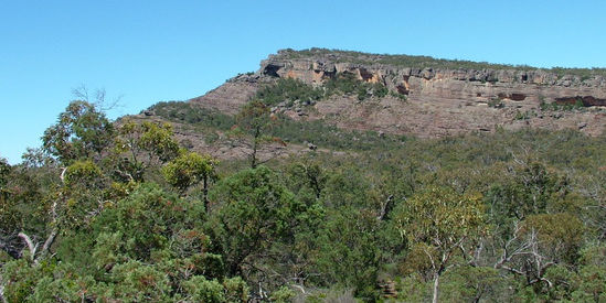 Black Range State Park