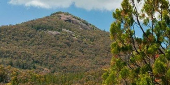 Burrowa - Pine Mountain National Park