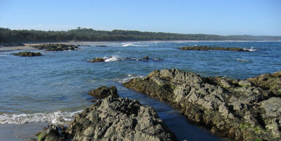 Cape Conran Coastal Park