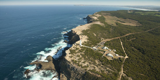 Cape Nelson State Park