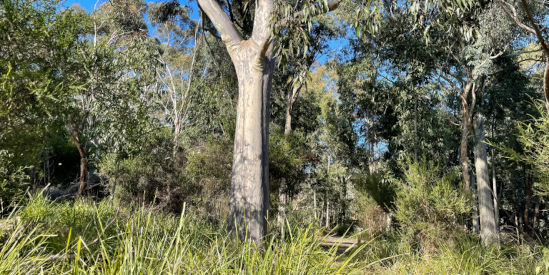 Churchill National Park