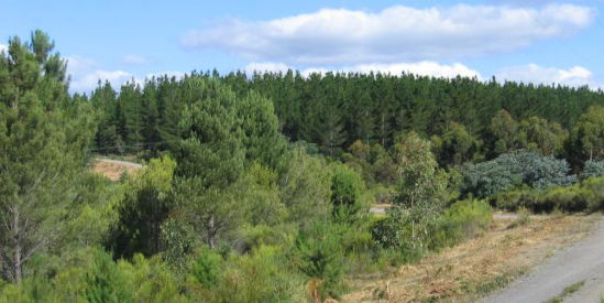 Creswick Regional Park