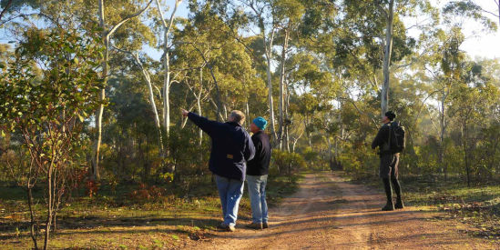 Deep Lead Nature Conservation Reserve