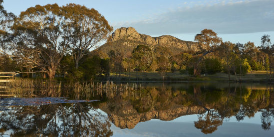 Dunkeld Arboretum