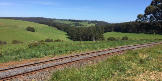 Eastern Dandenong Ranges Trail