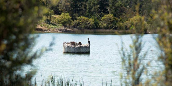 Frankston Nature Conservation Reserve