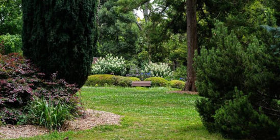George Tindale Memorial Gardens