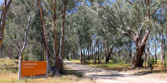 Gunbower National Park