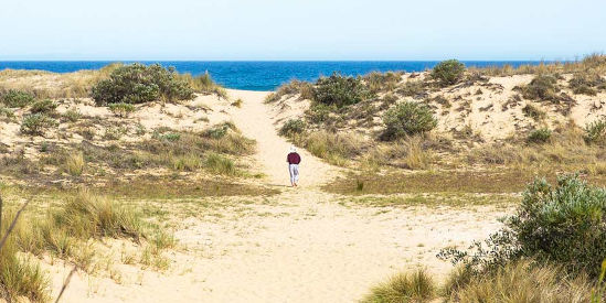 Lake Tyers State Park