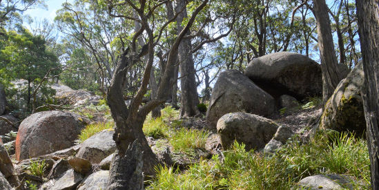 Langi Ghiran State Park