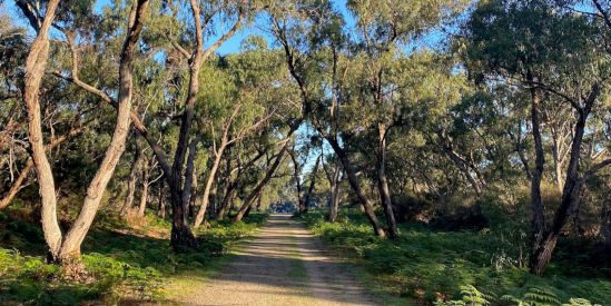 Langwarrin Flora & Fauna Reserve