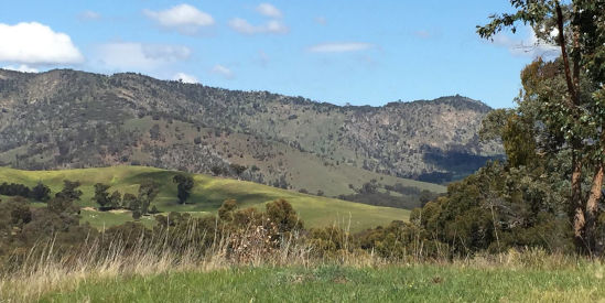 Australian Light Horse Memorial Park