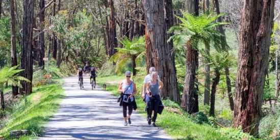 Lilydale to Warburton Rail Trail
