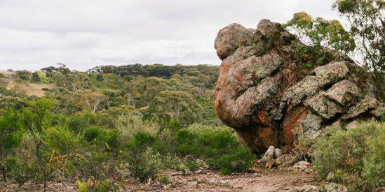 Long Forest Flora & Fauna Reserve