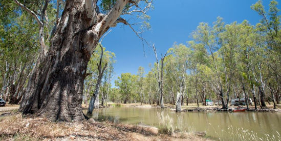 Lower Ovens Wildlife Reserve