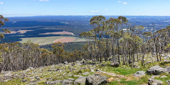 Macedon Regional Park