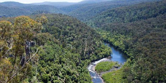 Mitchell River National Park