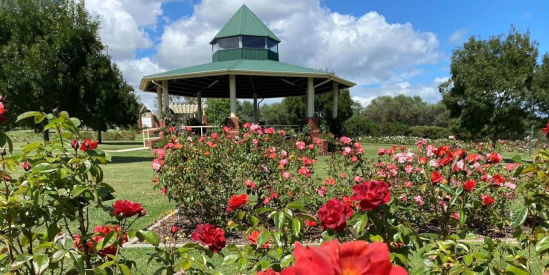 Mornington Botanical Rose Gardens