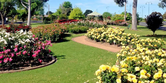 Morwell Centenary Rose Garden
