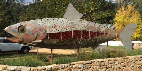 Mountain Fresh Trout & Salmon Farm