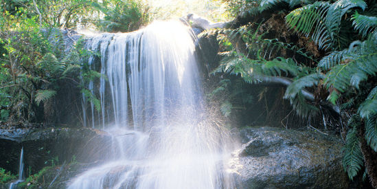 Mount Buangor State Park