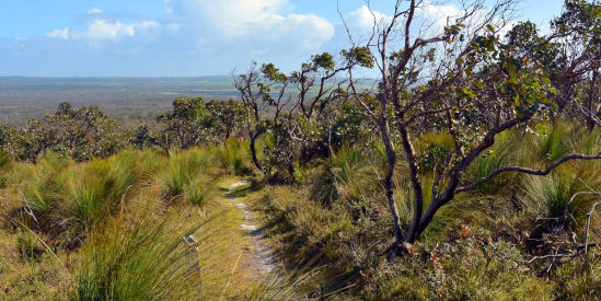 Mount Richmond National Park