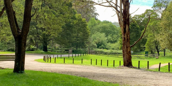 Mount Worth State Park