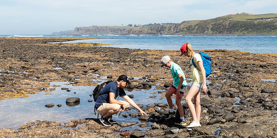 Mushroom Reef Marine Sanctuary