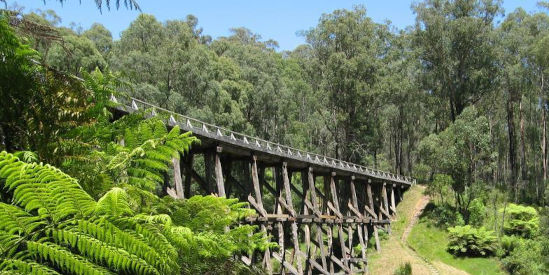 Noojee Trestle Bridge Rail Trail