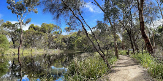 Ocean Grove Nature Conservation Reserve